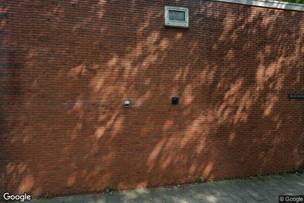 Straatview Dovenetelweg 1