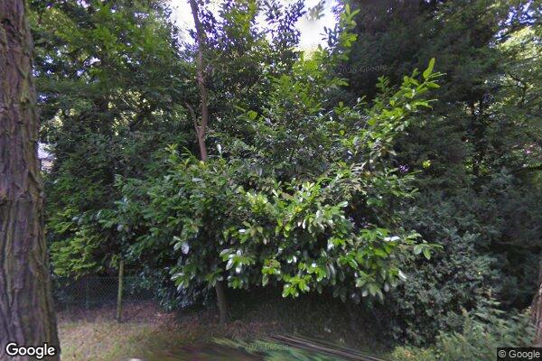 Straatview Konijnenlaan 2