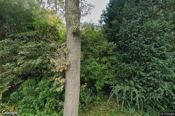 Straatview Koekoekslaan 2