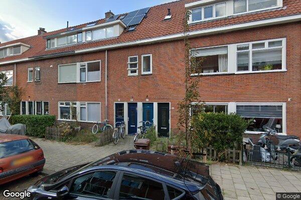 Straatview Linnaeusstraat 46