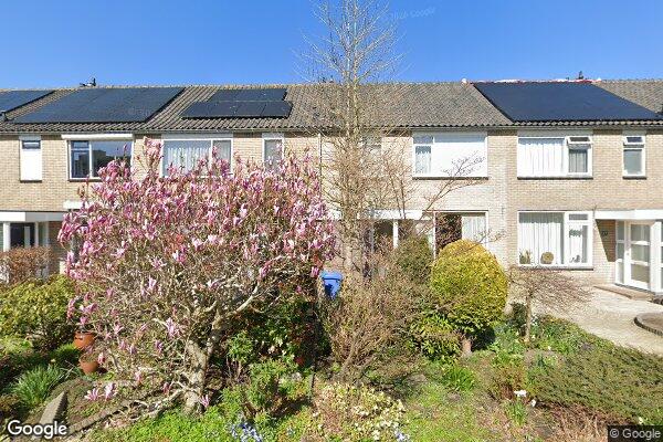 Straatview Vogellaan 43