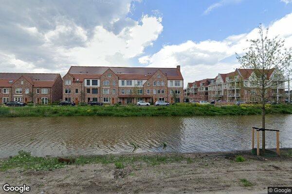 Straatview Palissanderhout 50