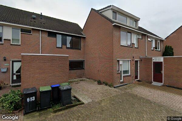 Straatview Zebraspoor 601