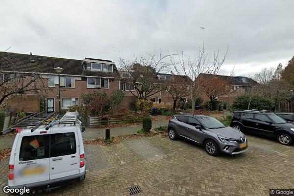 Straatview Zebraspoor 523