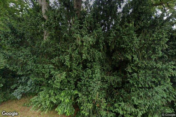 Straatview Ted Visserweg 17