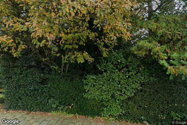 Straatview 1e Heezerlaantje 1e