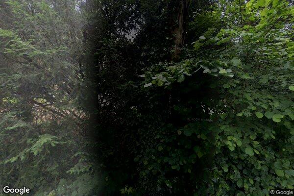 Straatview Dassenboslaan 20