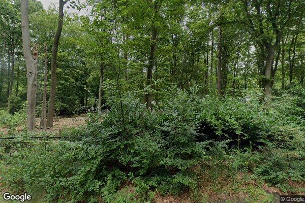 Straatview Lochemseweg 53