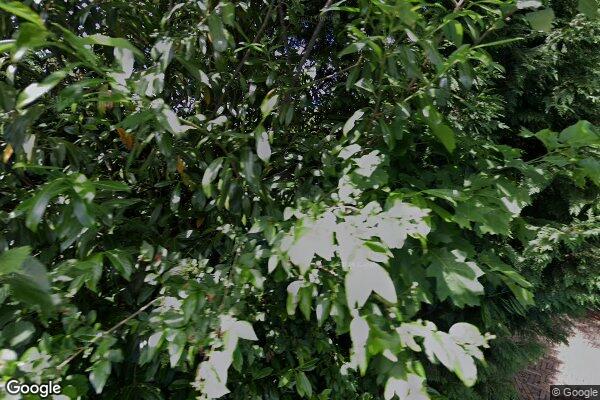 Straatview van Galenlaan 40