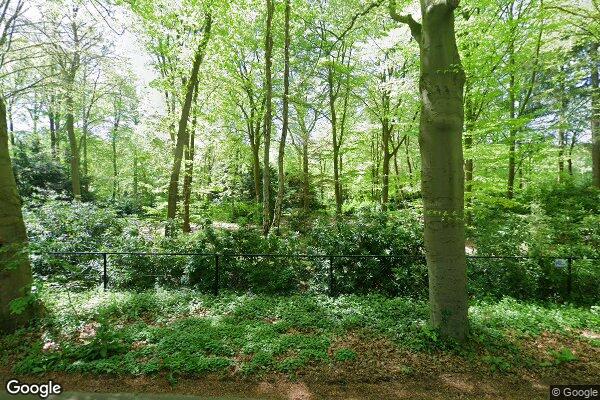 Straatview Molenweg 38