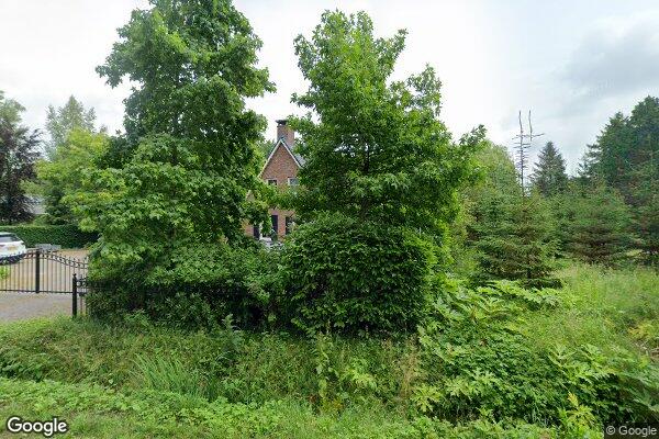 Straatview Wieksloterweg OZ 59