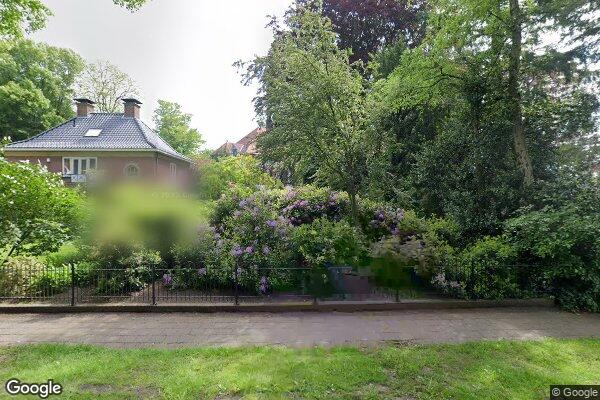 Straatview Wilhelminalaan 3