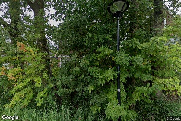 Straatview Hoog en Wellerlaan 16