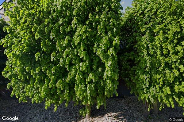 Straatview Rijndijk 4