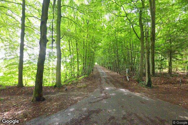 Straatview Whemerweg 29