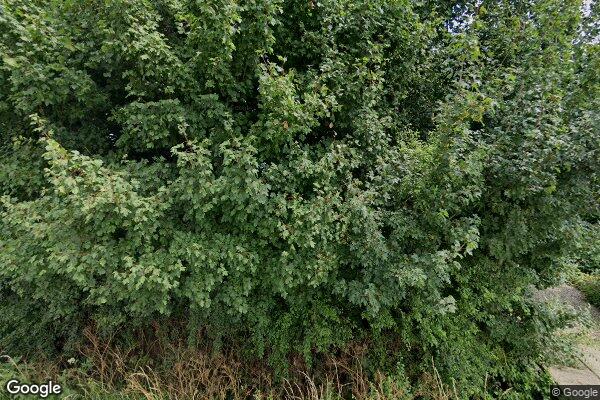 Straatview Nachtdijk 1