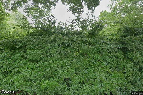 Straatview Eefdese Enkweg 4