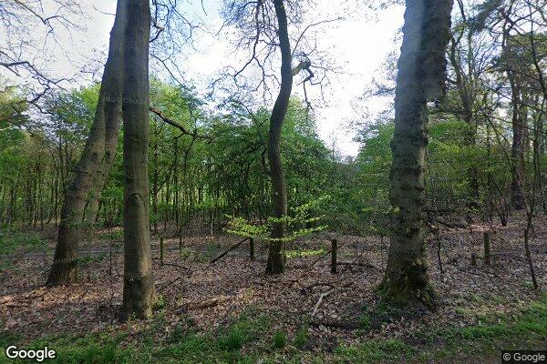 Straatview Wekeromseweg 2