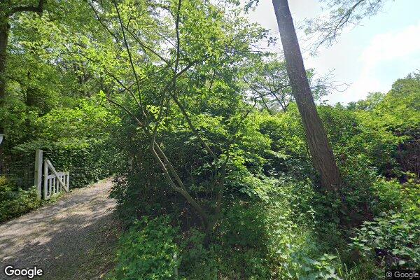 Straatview Bolmansweg 5