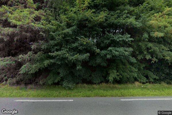 Straatview Lochemseweg 31